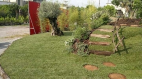 Benvenuti nel nostro sito web - Giardini Meridionali s.r.l.